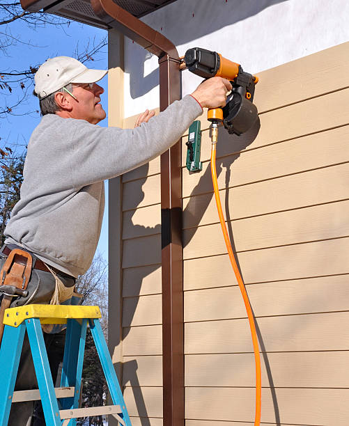 Best Vinyl Siding Installation  in Harvey, IL